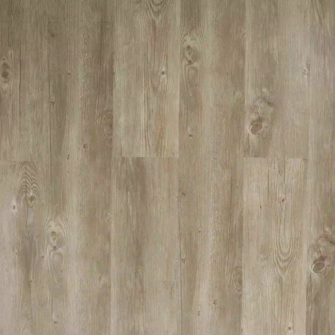 Richmond SPC Eco - Cappuccino
