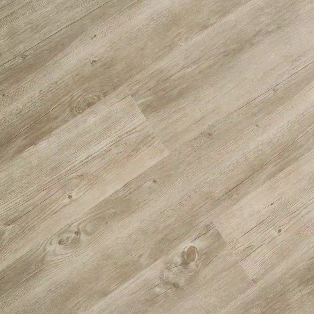 Richmond SPC Eco - Cappuccino
