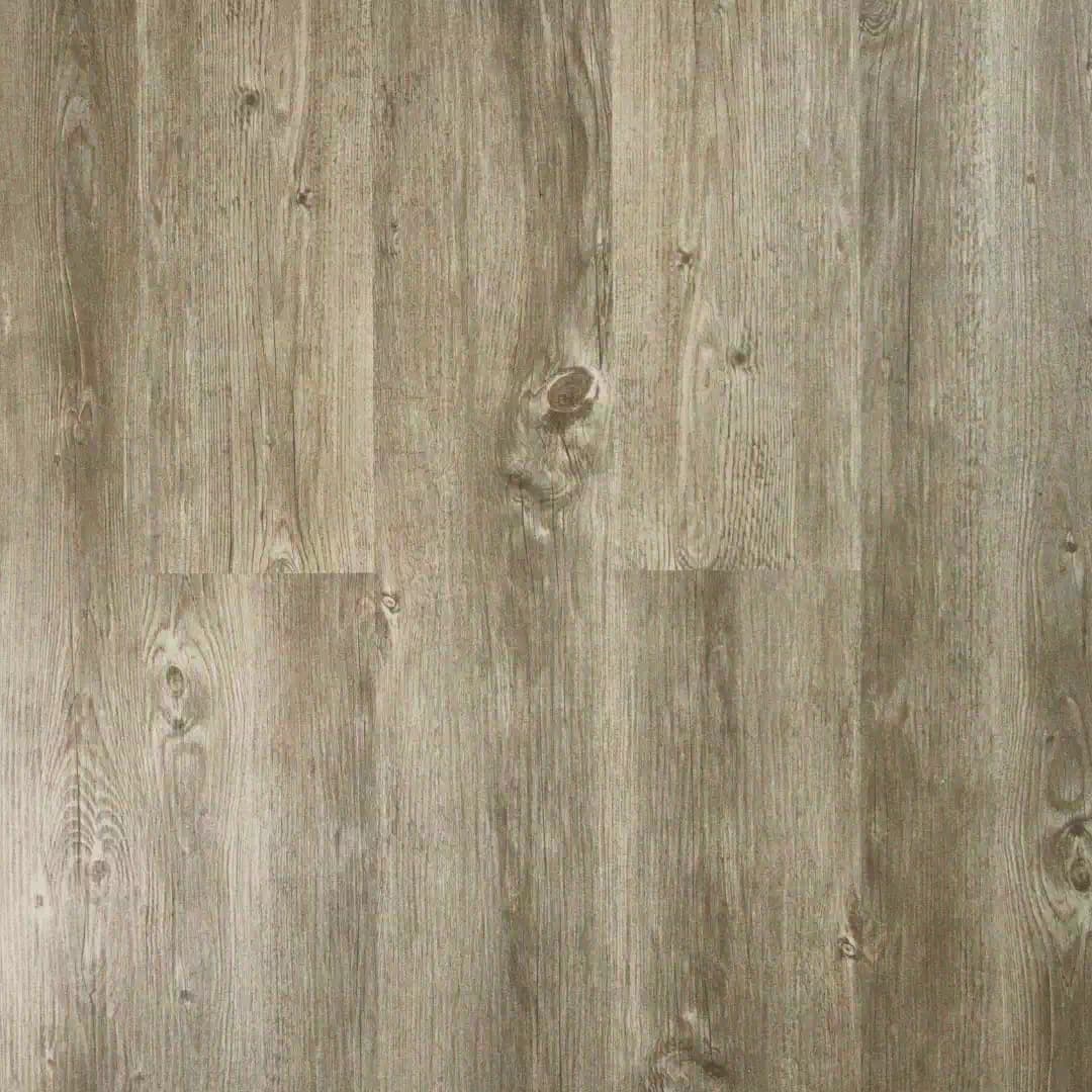 Polar SPC - Antique