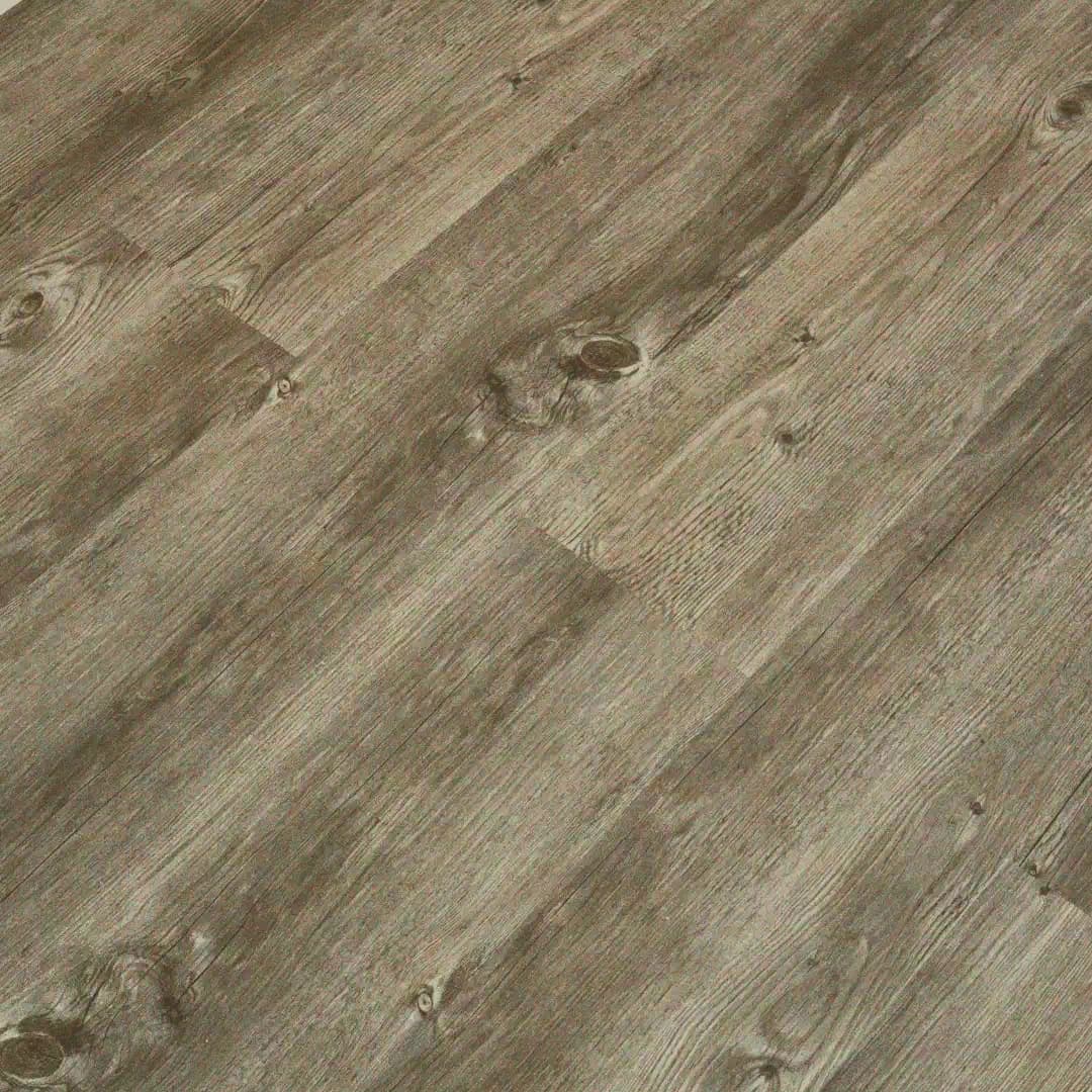 Polar SPC - Antique