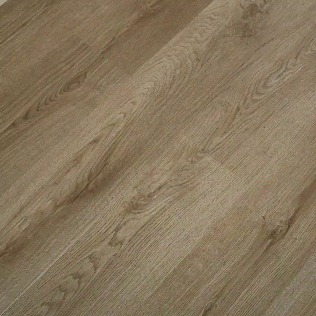 Polar SPC - Chestnut