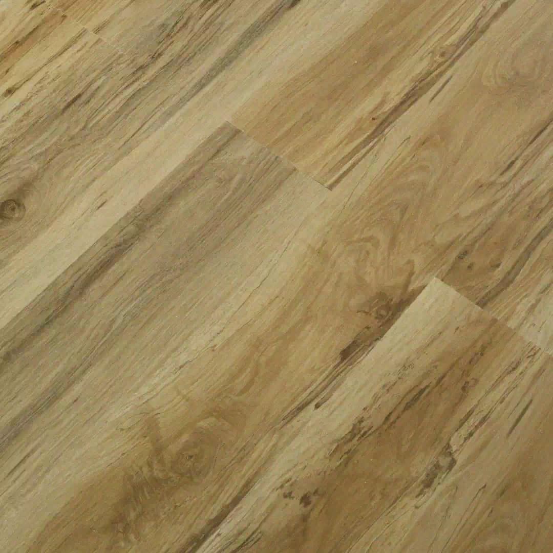Polar SPC - Oak History