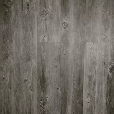 Polar LVT - Prairie