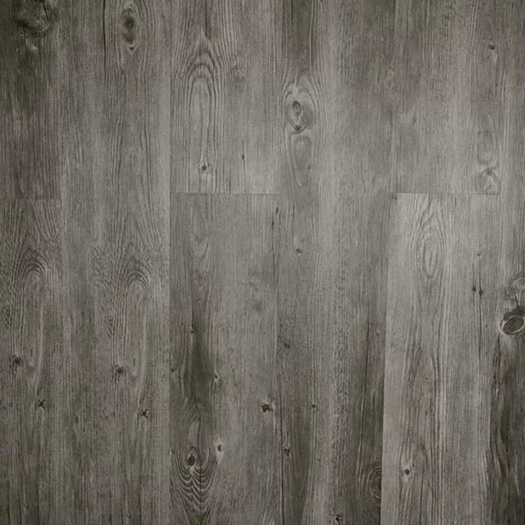 Polar LVT - Prairie