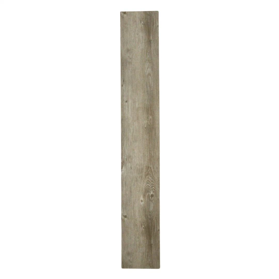 Polar SPC - Antique