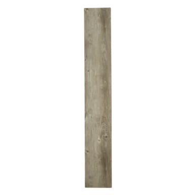 Polar SPC - Antique