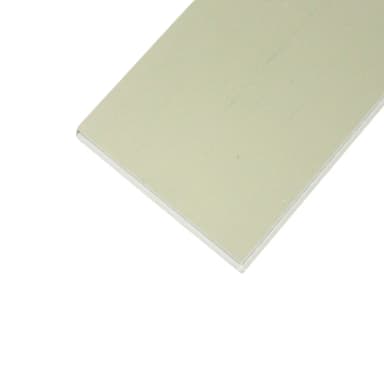 Polar SPC - Antique
