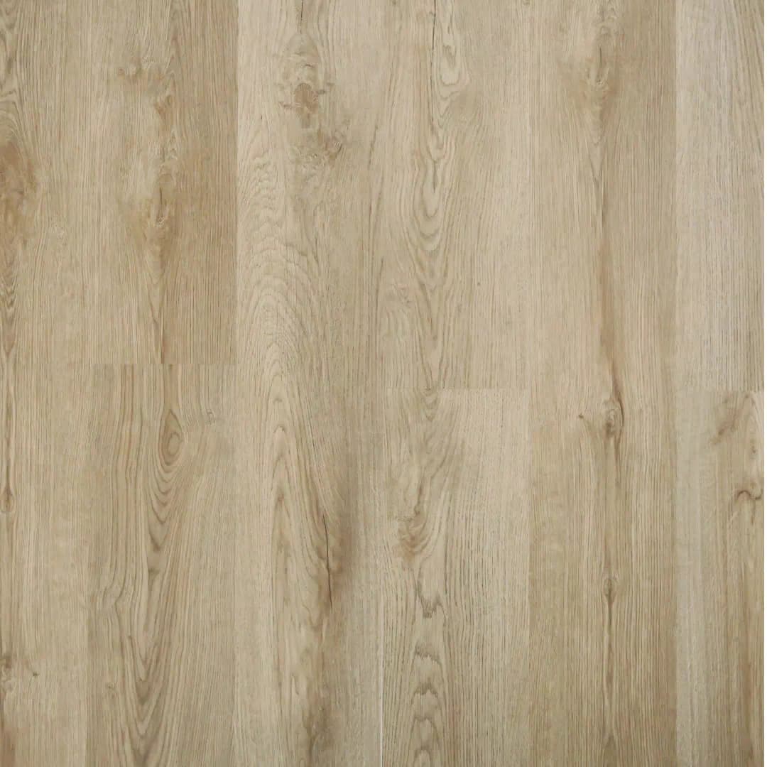 Polar SPC - Chestnut