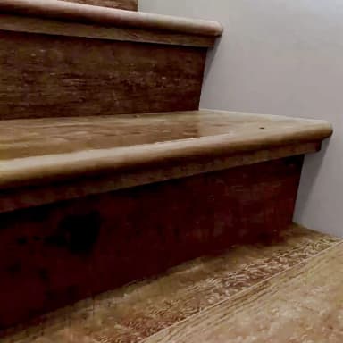 American Walnut