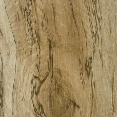 Polar SPC Eco - Oak History