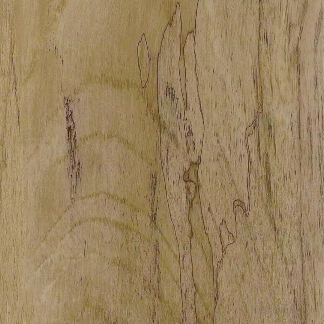 Polar SPC Eco - Oak History