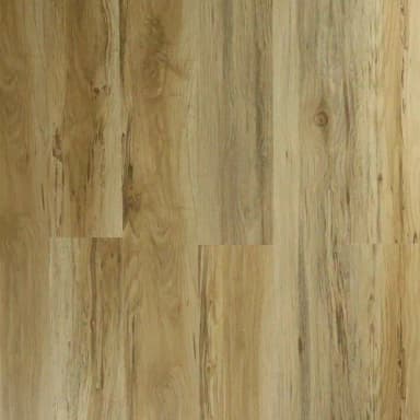 Polar SPC Eco - Oak History